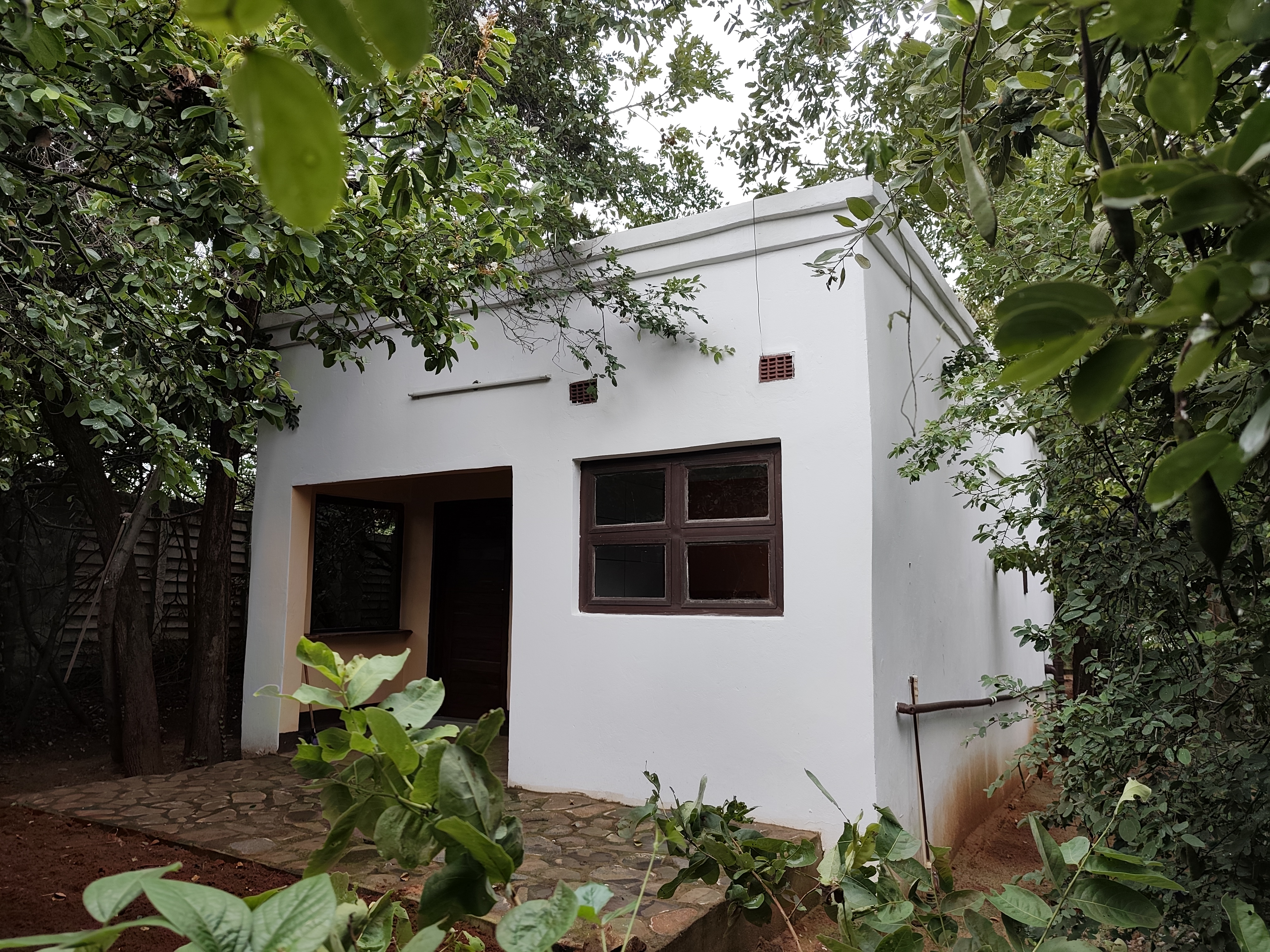 Sipa – bungalow in the garden